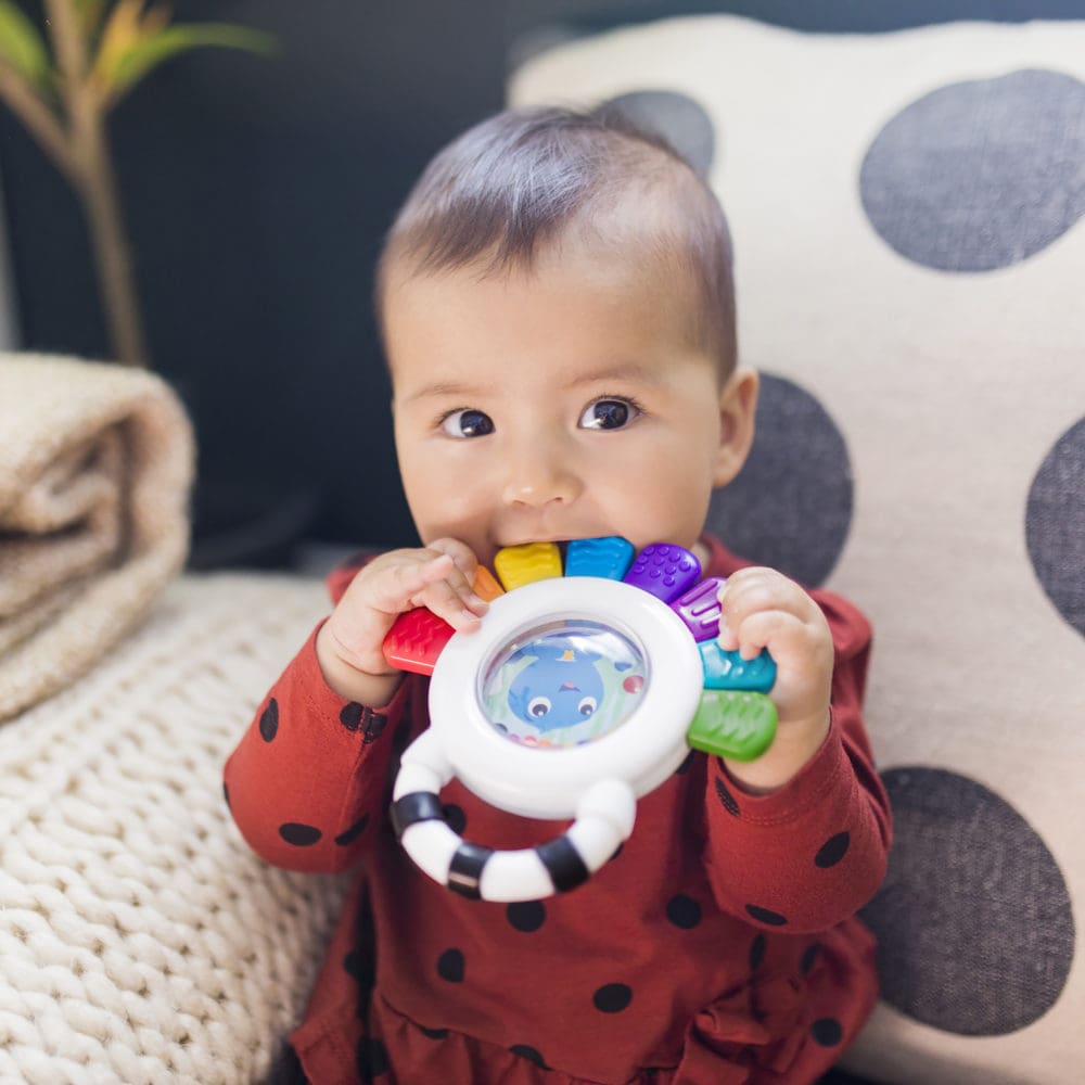 Baby Einstein Sensory Rattle & Teether
