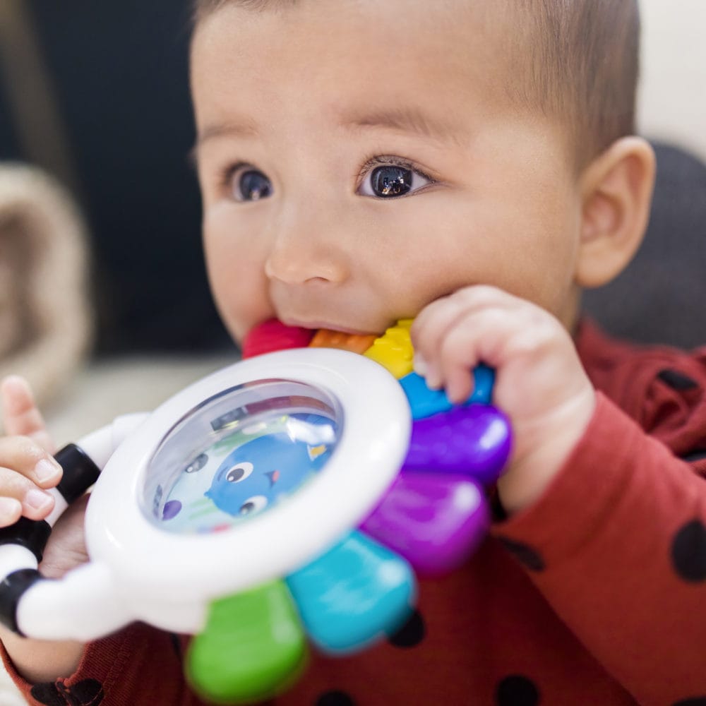 Baby Einstein Sensory Rattle & Teether