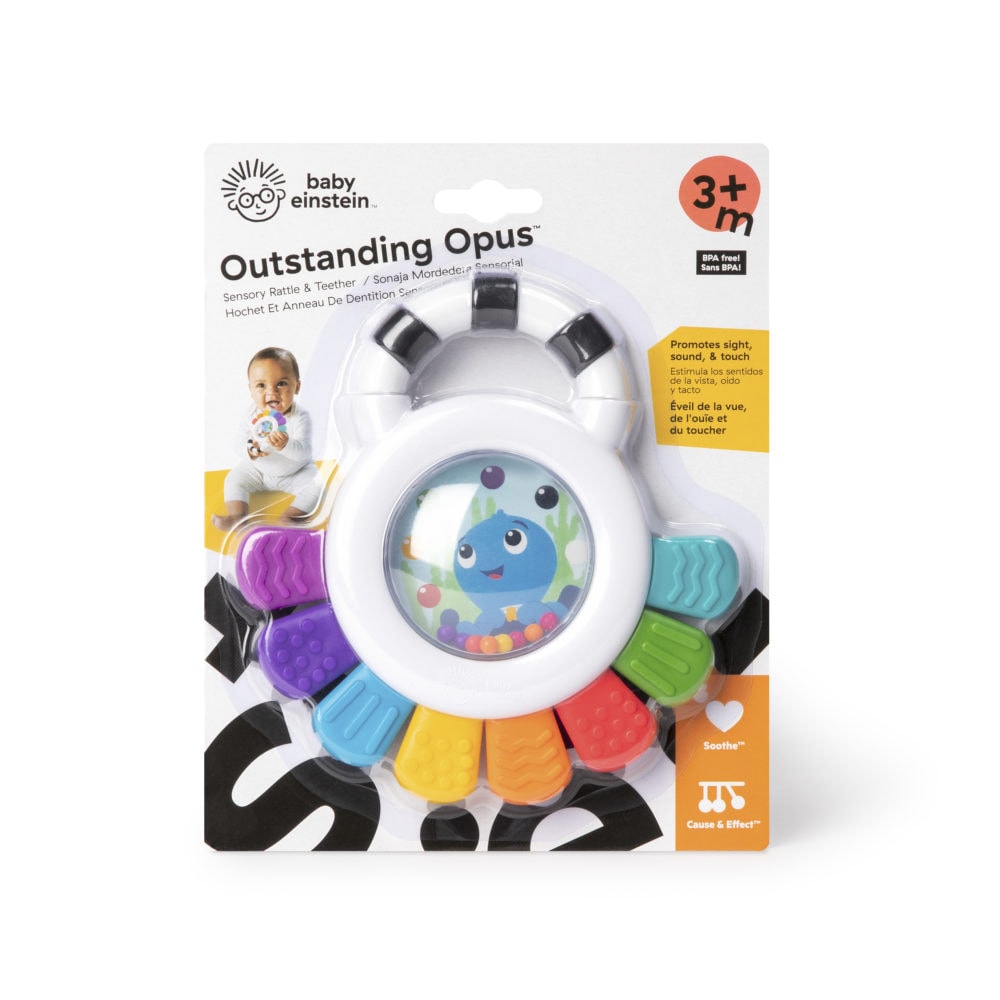 Baby Einstein Sensory Rattle & Teether