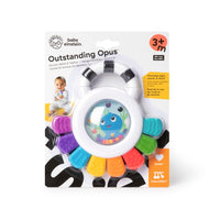 Baby Einstein Sensory Rattle & Teether