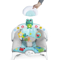 Baby Einstein Musical Bouncer