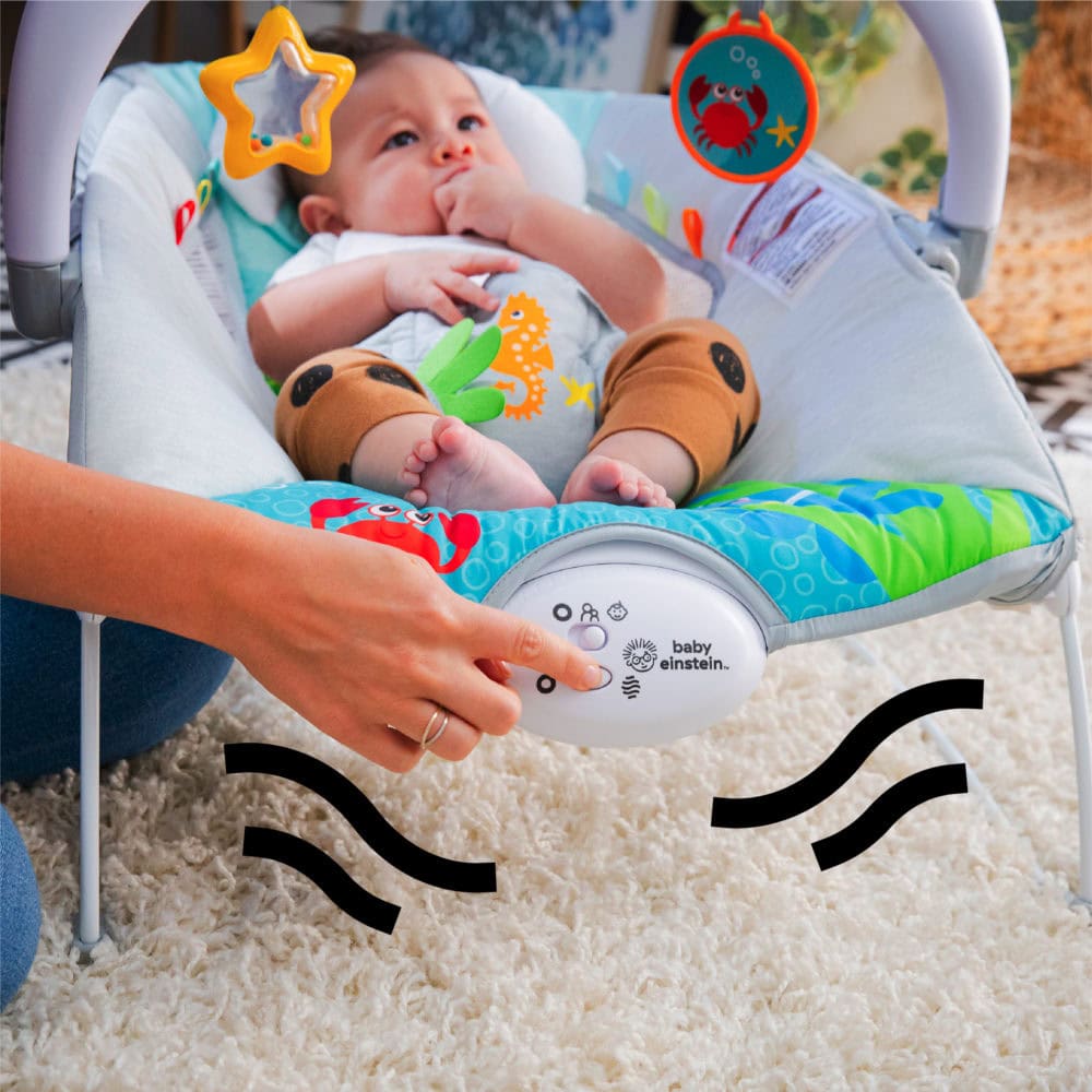 Baby Einstein Musical Bouncer