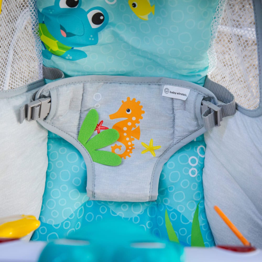 Baby Einstein Musical Bouncer