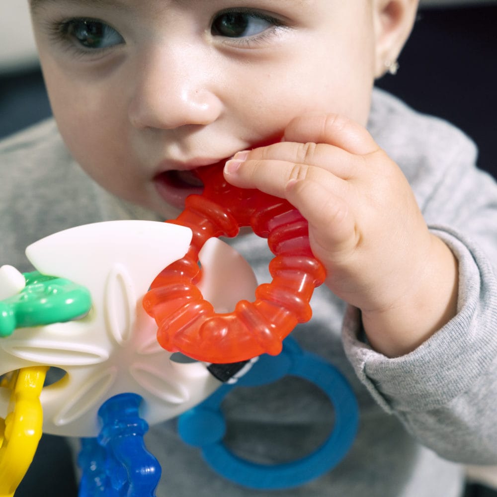 Baby Einstein Ocean Explorers Teether