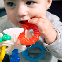 Baby Einstein Ocean Explorers Teether