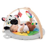 Babygym - Baby Einstein Zen's Activity Milestones™