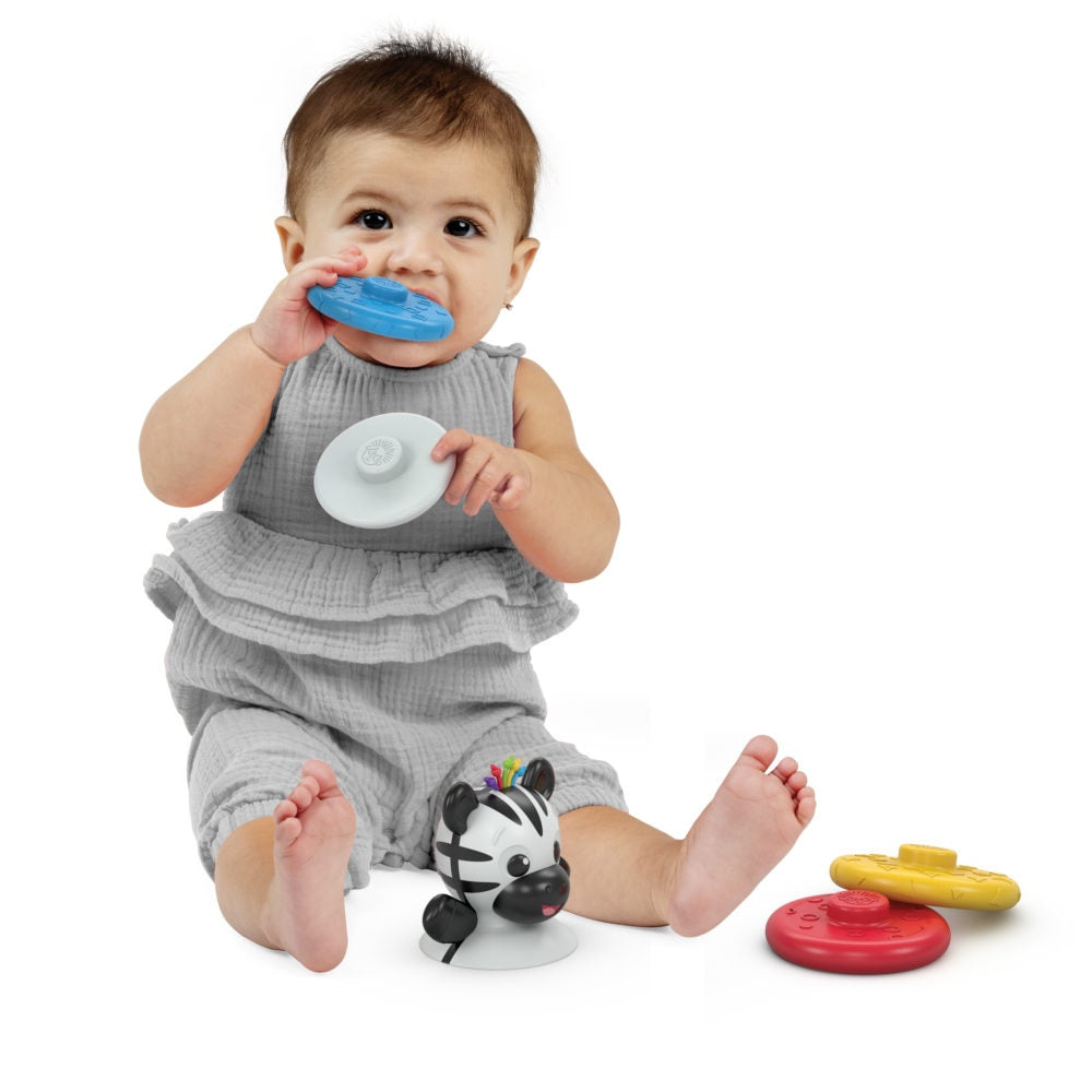 Baby Einstein Stack & Wobble Zen