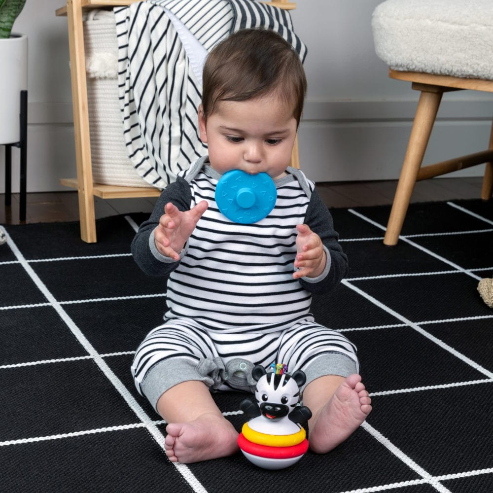 Baby Einstein Stack & Wobble Zen