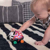 Baby Einstein Zen Oball Toy Car