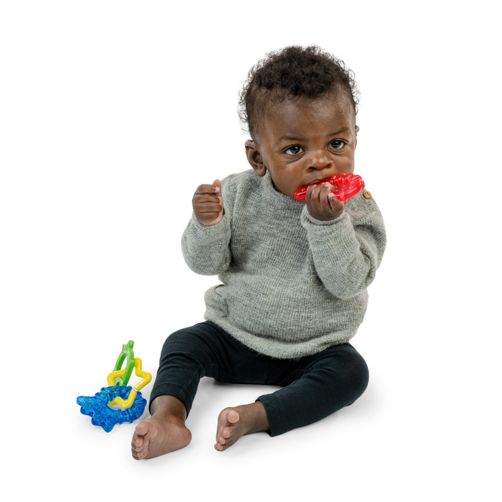 Baby Einstein Cool Critters Teether Toy
