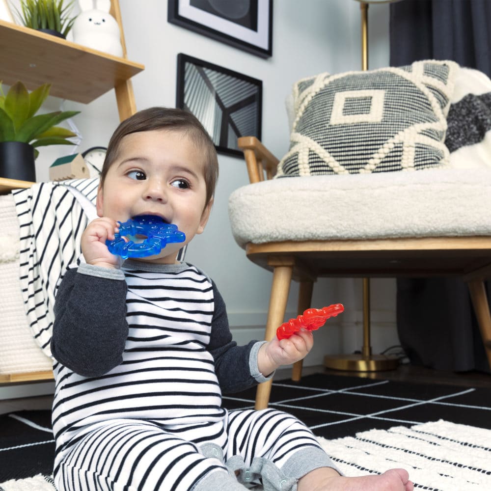 Baby Einstein Cool Critters Teether Toy