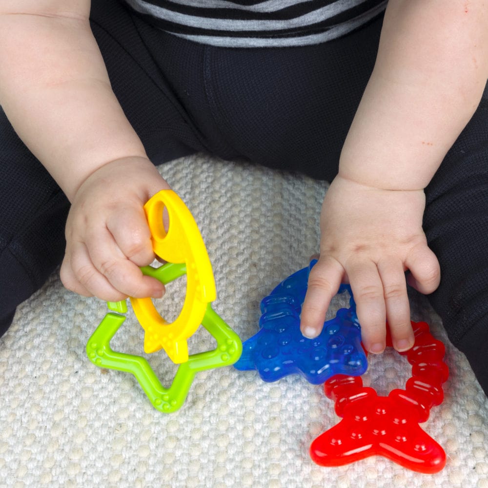 Baby Einstein Cool Critters Teether Toy
