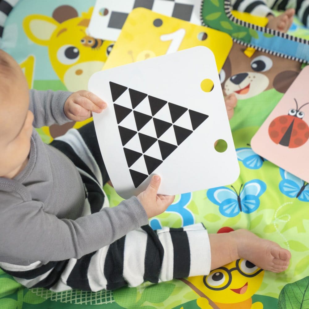 Baby Einstein Discovery Garden Mat & Mirror