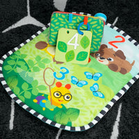 Baby Einstein Discovery Garden Mat & Mirror