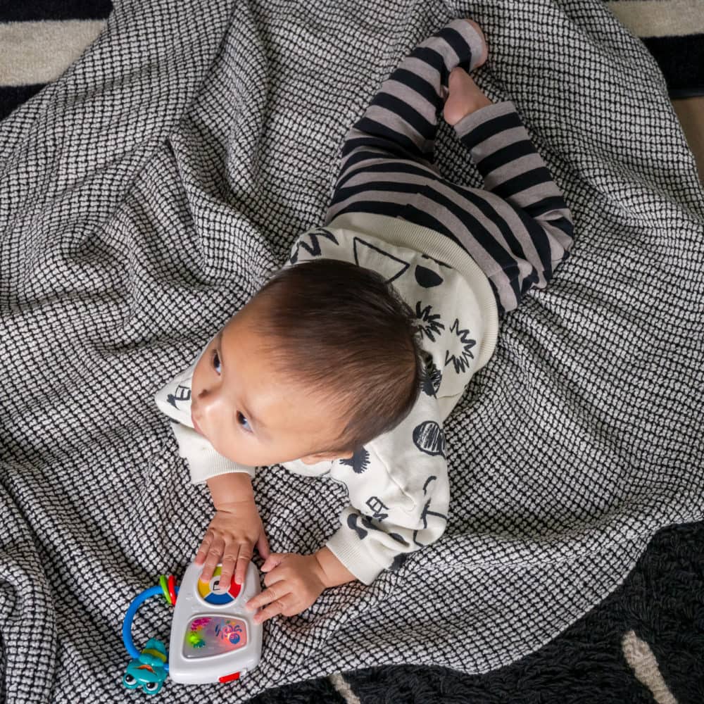 Baby Einstein Maritime Melodies Leksak