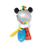 Baby Einstein Zen Teether Toy