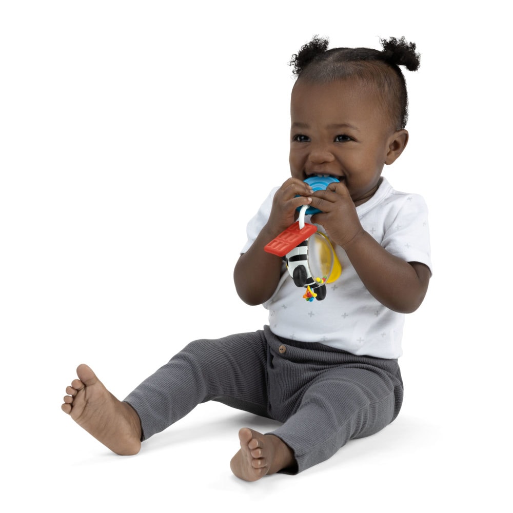 Baby Einstein Zen Teether Toy