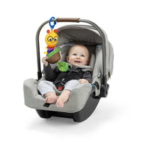 Baby Einstein Cal-a-Puller™ Leksak