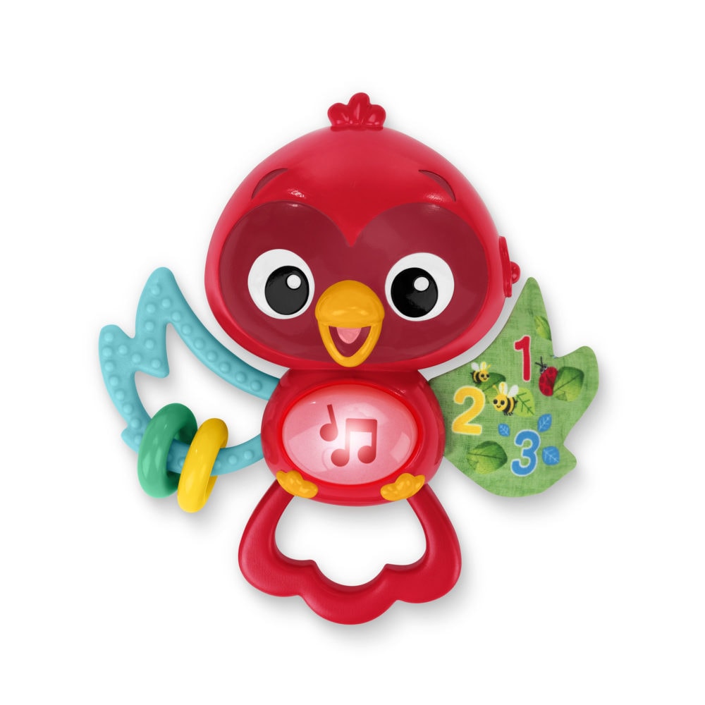 Baby Einstein Roxy's Bright Flight