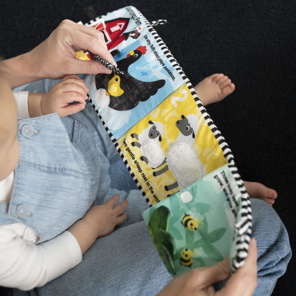 Baby Einstein Counting at the Farm