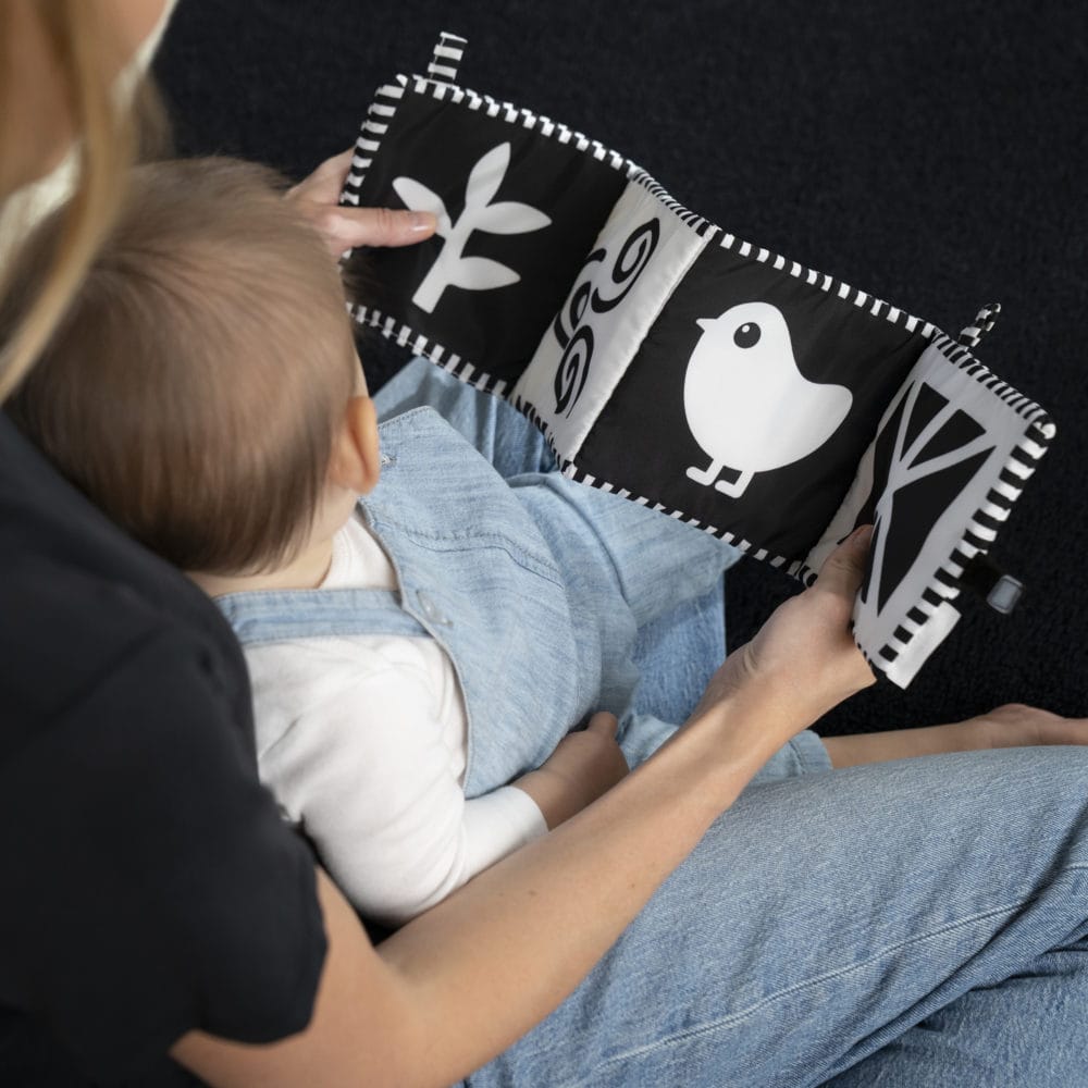 Baby Einstein Counting at the Farm