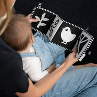 Baby Einstein Counting at the Farm