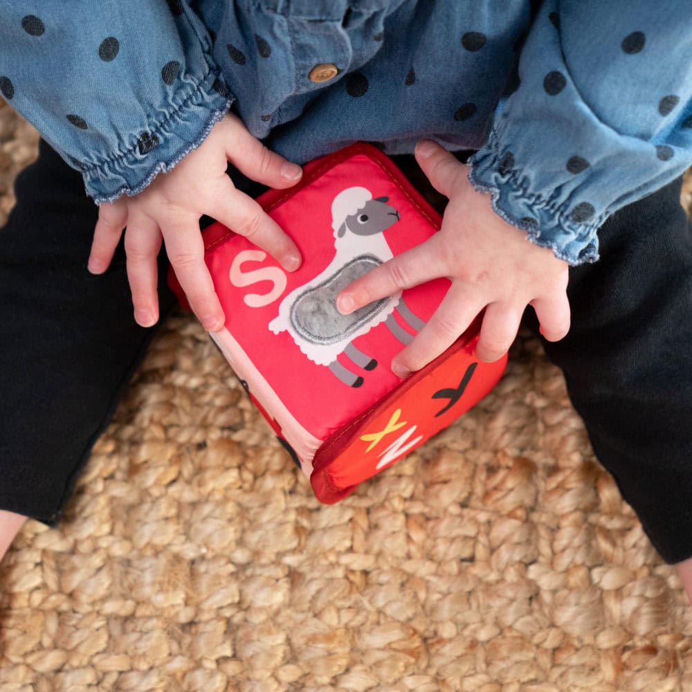 Baby Einstein Alpha Stacks Soft Blocks