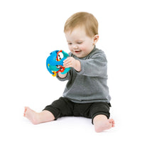 Baby Einstein Rattle & Sense Sensory Ball