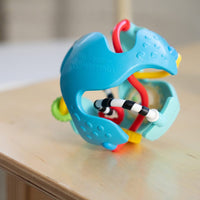 Baby Einstein Rattle & Sense Sensory Ball