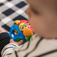 Baby Einstein Bendy Ball