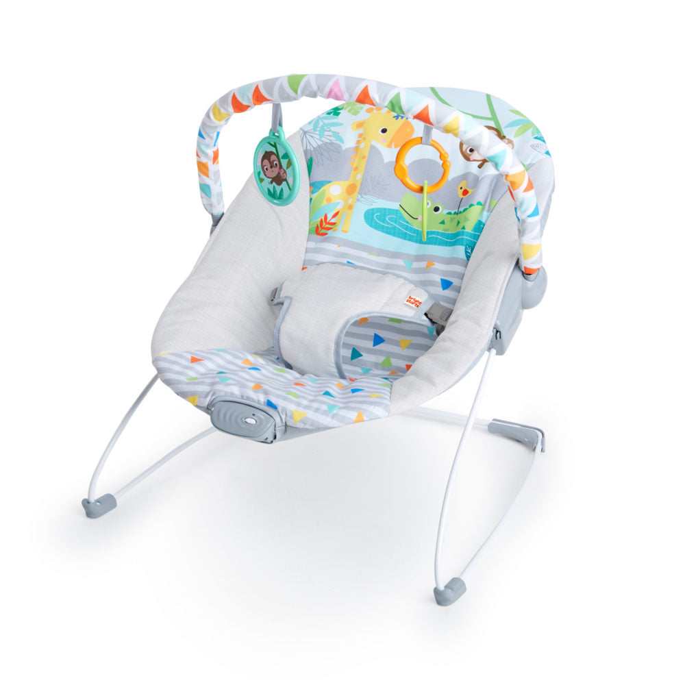 Babysitter - Bright Starts Safari Fun™ Bouncer