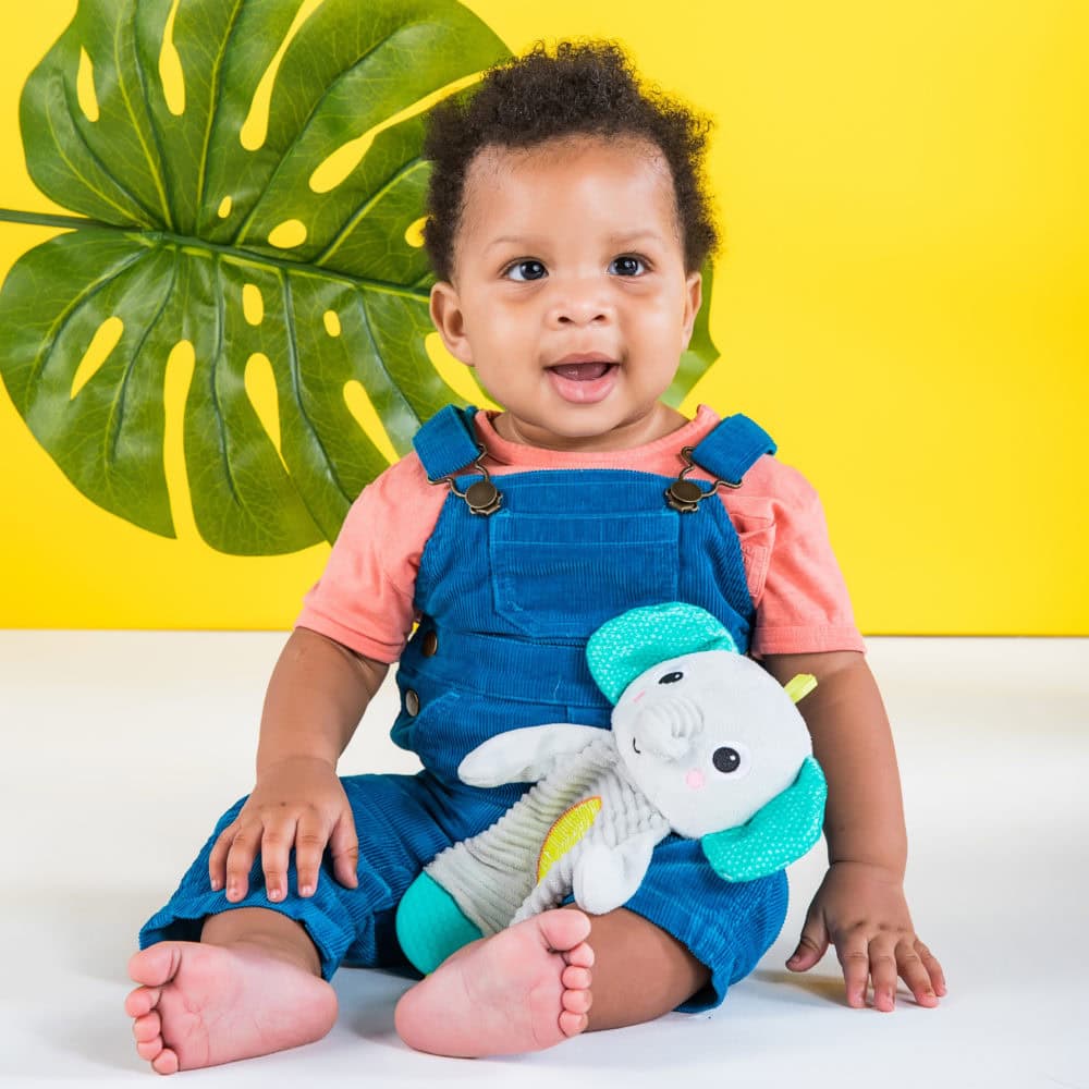 Bright Starts Snuggle & Teethe Elephant