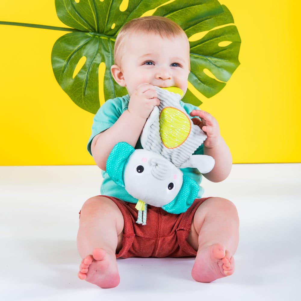 Bright Starts Snuggle & Teethe Elephant