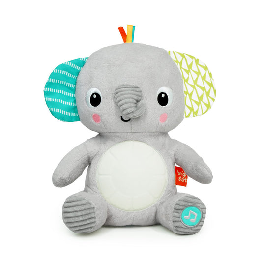 Bright Starts Hug-a-bye Baby