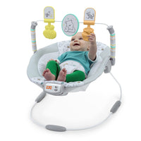 Babysitter - Bright Starts Winnie the Pooh Bouncer