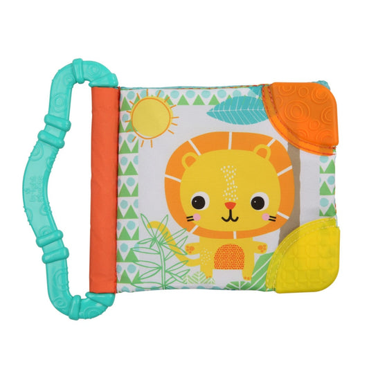 Bright Starts Teethe & Read