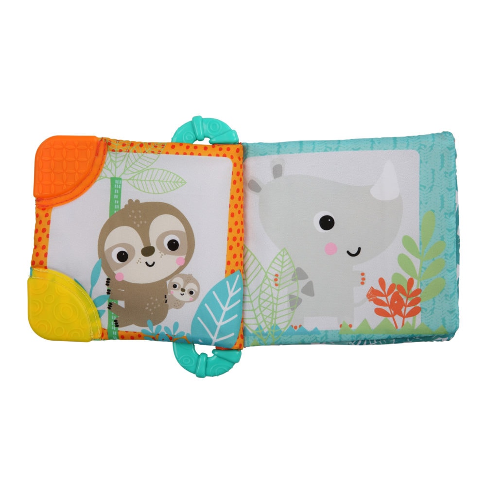 Bright Starts Teethe & Read