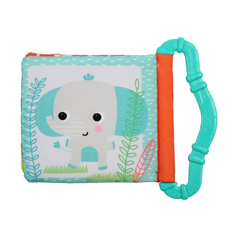 Bright Starts Teethe & Read