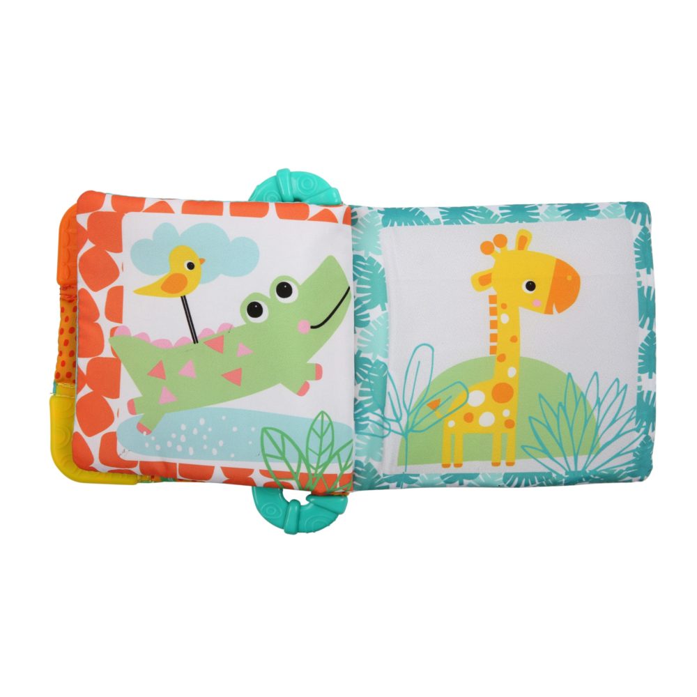 Bright Starts Teethe & Read
