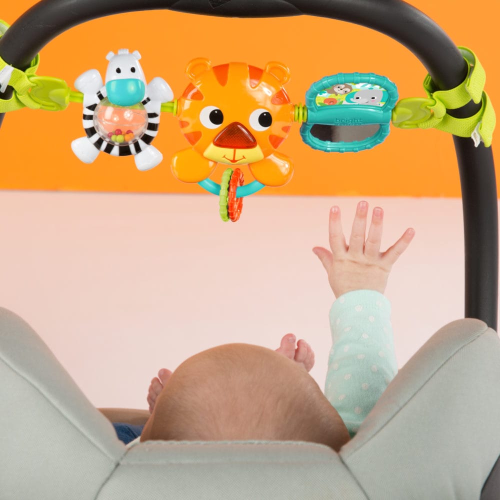 Bright Starts Take Along Toy Bar