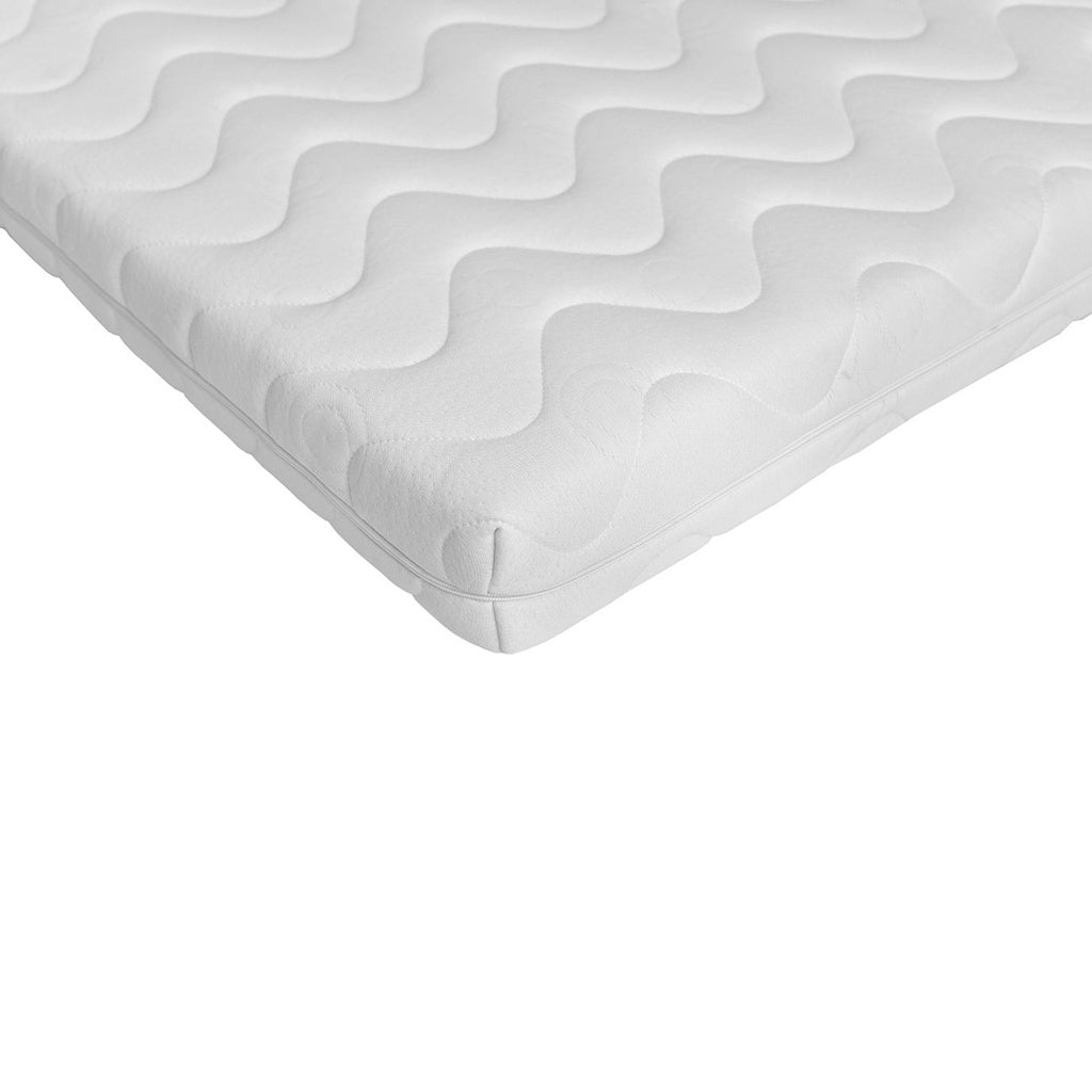 Roll About Bellamy UP! Madrass