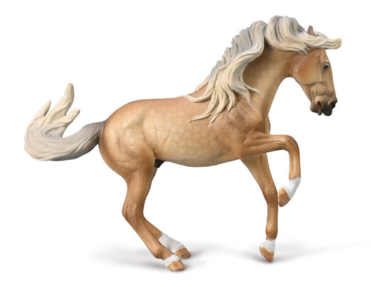 Tactic Lusitano Stallion - Sooty Palomino