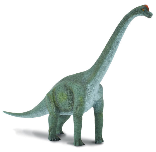 Tactic CollectA Brachiosaurus