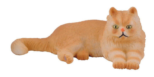 Tactic Persian Cat - Lying