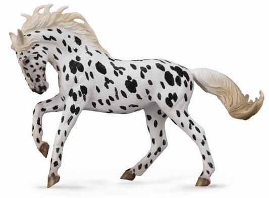 Tactic Knabstrupper Mare Black Leopard