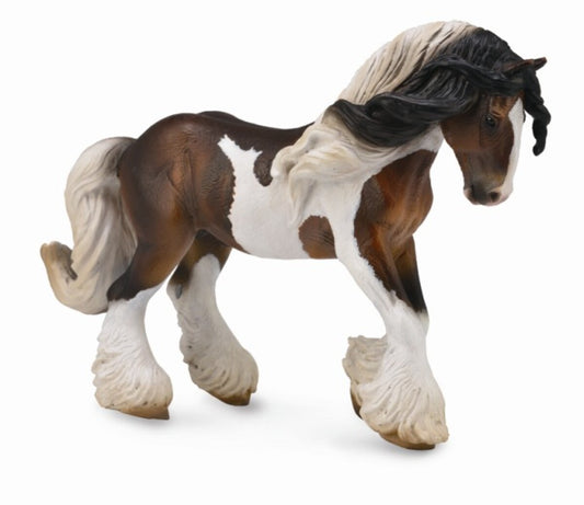 Tactic Tinker Stallion Piebald