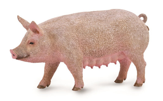 Tactic CollectA Sow