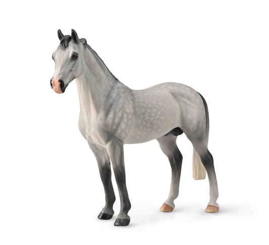 Tactic Hanoverian Stallion Dappled Grey