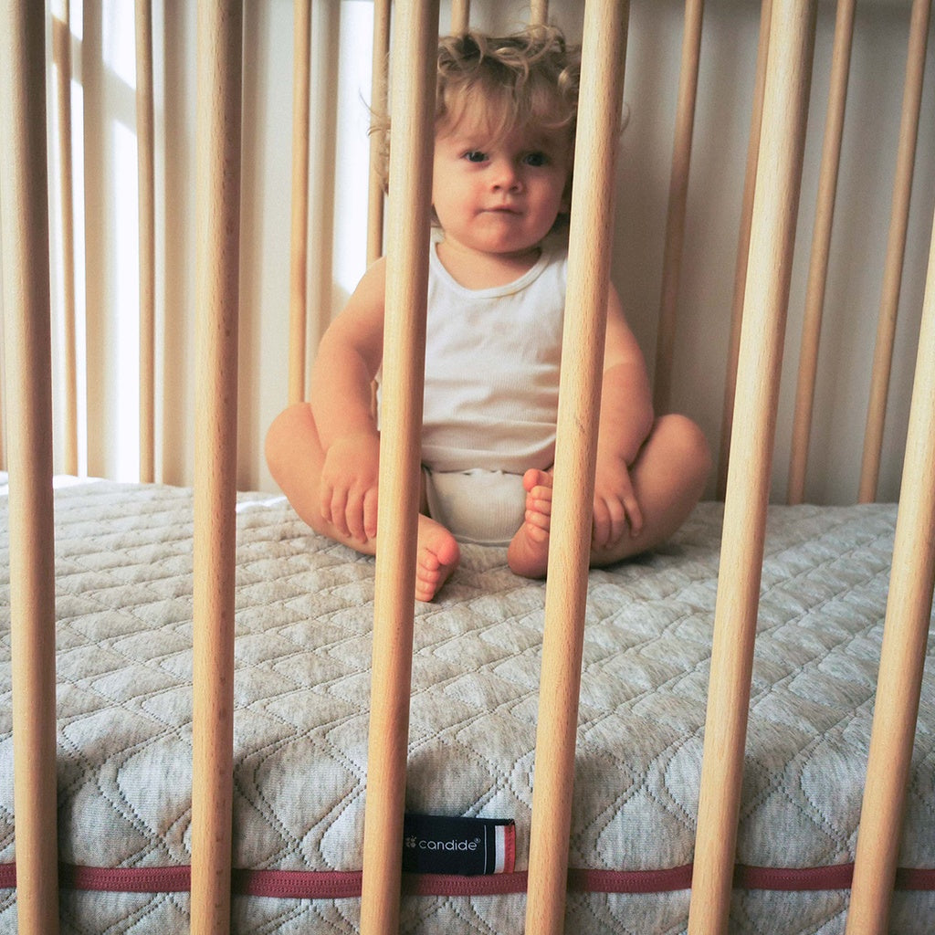 Roll About Candide Resilience Madrass