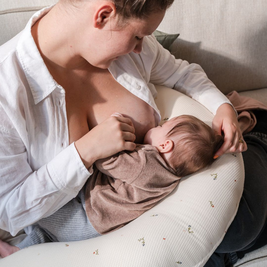 Roll About Amnings- och Gravidkudde 2-i-1